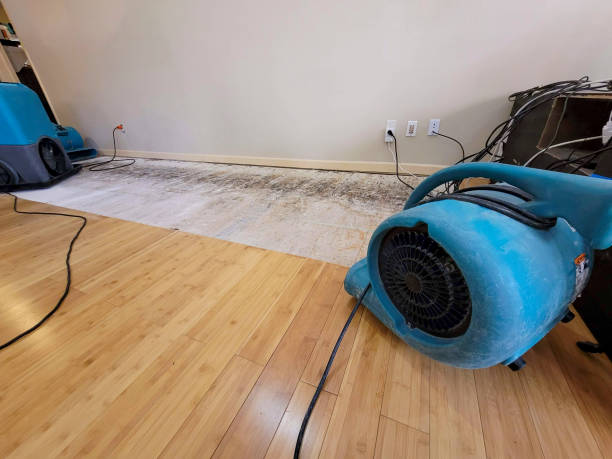 Professional Sewage Cleanup technician working in Chino Hills, CA